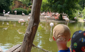 Osterferien in Wolfenbüttel: Spannende Freizeitaktivitäten warten auf Kids