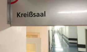 AfD sieht Landesaktionsplan zur Geburtshilfe als unzureichend