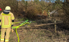 Flächenbrand: Alarm an der L294 bei Grasleben