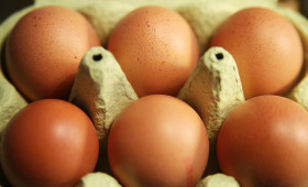 Eierproduktion 2025 leicht gestiegen