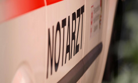 Drei Tote nach Baumsturz bei Ostersuche nahe Flensburg