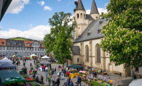 Goslarer Gartenmarkt: Blütenpracht und verkaufsoffener Sonntag