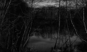 Leiche in Teich bei Seesen entdeckt – Identität geklärt