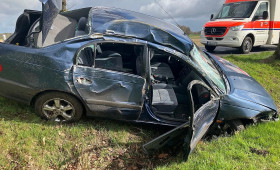 82-Jährige bei Baumunfall in der Samtgemeinde Fintel unverletzt