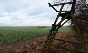 Niedersachsen gibt Handlungsempfehlung zur Wolfsjagd an Behörden