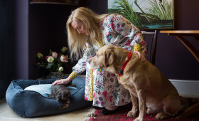 Besuch mit Hund: Das sollte man beachten