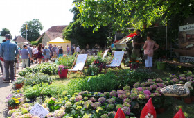 Helmstedt: Festival richtet sich an Hobbygärtner und Genießer schöner Dinge