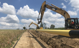 Wasserstoff-Pipeline für Salzgitter: Steht hier der Feldhamster im Weg?