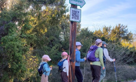 Gifhorn: Am Tag des Wanderns geht es auf Entdeckungstour durch die Südheide