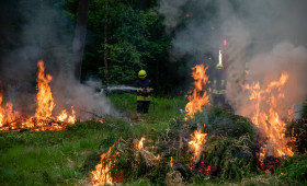 Waldbrand: Feuerwehr übte die koordinierte Brandbekämpfung