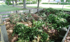 Friedhof Salzdahlum: Stadt Wolfenbüttel beklagt illegale Müllentsorgung
