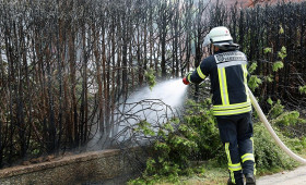 Heckenbrand in Hambühren nach Abflammarbeiten