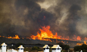 Mindestens zwölf Tote bei Waldbränden in Südspanien