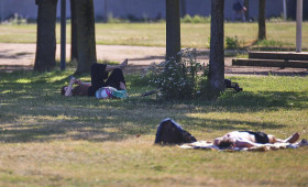 Ministerium: Hitzewelle fordert im Saarland viele Todesopfer