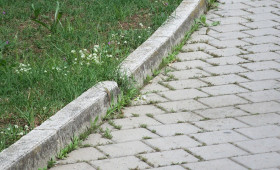 Wege um den Südteich im Bürgerpark werden saniert