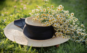 Bis zu 50.000 Euro: So teuer kann ein bestimmtes Tier im Garten werden