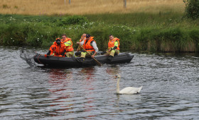 Gifhorn: Durch Angelhaken verletzter Schwan: Deswegen scheiterte Rettung