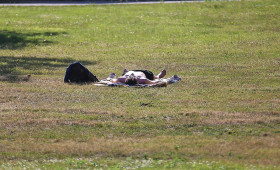 Umweltstaatssekretär drängt auf Aktionsplan für Hitzeschutz