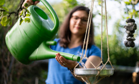 Durstlöscher für Insekten: So helfen Sie Bienen & Co. durch den Sommer