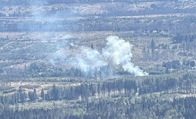 Braunlage: Waldbrand im Harz beschäftigt die Feuerwehr