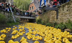 Goslar: Pässe ab morgen erhältlich: Wer setzt auf die schnellste Renn-Ente?