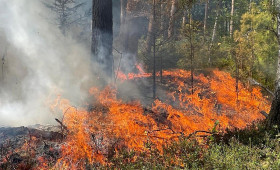 Waldbodenbrand in Unterlüß auf 3.500 Quadratmetern