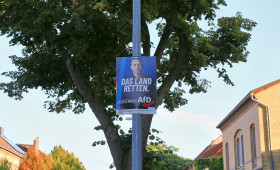 Zentralrat der Juden warnt vor AfD bei Landtagswahl