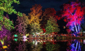 Braunlage: Sommerzauber lockt mit Live-Musik und illuminiertem Kurpark