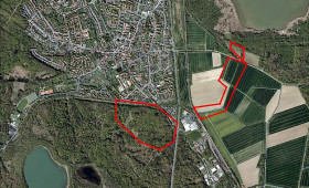 In diesem Wald in Salzgitter soll ein neues Gewässer entstehen