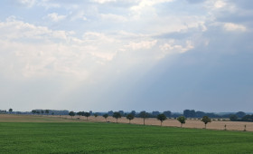 Möglicher Windpark bei Sickte: Informationsveranstaltung geplant