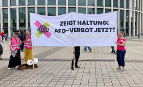 Grüne fordern Union zu Initiative für AfD-Verbotsprüfung auf
