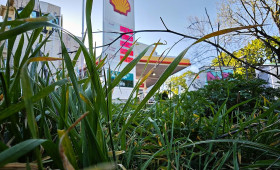 Frei fordert Mehrwertsteuersenkung auf Sprit zum 1. Oktober