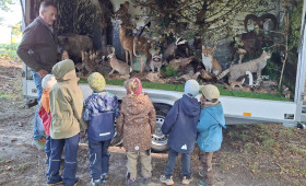 Wolfenbüttel: Kita-Kinder „Waldfüchse“ lernten heimische Tierwelt kennen