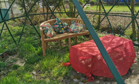 Peine: Interkultureller Garten lädt zum Barbecue