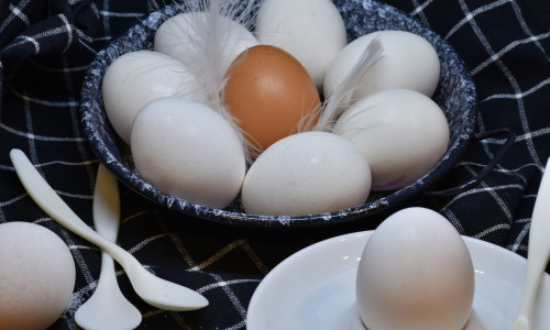 Eier aus Bodenhaltung? Eier aus Freilandhaltung? Eier aus Öko-Haltung? Bio-Eier? regionalKulinarisch erklärt, ein Ei gleicht eben nicht dem anderen... Fotos: Pixabay