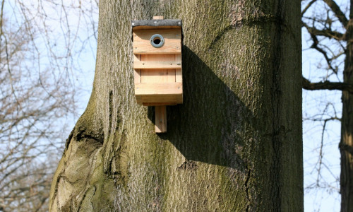 Ein Nistkasten aus Holz kann mit etwas Geschick selbst gebaut werden. Foto: NABU/H. May

  