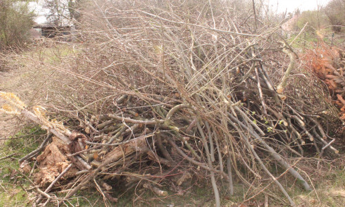 In Isingerode wird am 8. April das Brennholz für das Osterfeuer abgeholt. Foto: Archiv