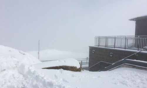 Im Flachland begrüßen uns bereits die ersten Frühlingsboten, auf dem Brocken hat es dagegen nochmal kräftig geschneit. Foto/Video: aktuell24(BM)