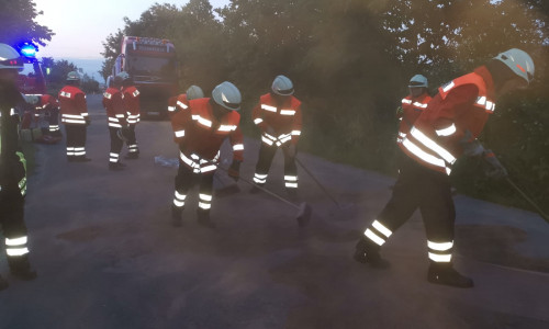 Das Öl hatte sich auf der Fahrbahn verteilt. Die Freiwillige Feuerwehr Meinersen rückte an um die Situation zu klären. Foto: Samtgemeinde Meinersen