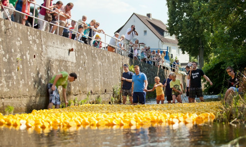 Das Entenrennen wird wieder eines der Highlights sein. Foto: Oliver Heine
