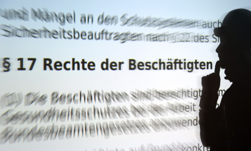 Durchblick im Paragrafen-Dschungel: Die Rechtsberater der IG BAU Braunschweig-Goslar sind
beim Streit mit dem Chef eine wichtige Anlaufstelle für Beschäftigte. Foto: IG BAU