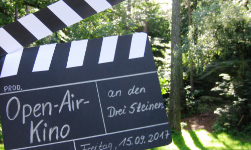 Bis zum 4. September kann abgestimmt werden, welcher Film gezeigt wird. Foto: Stadt Wolfsburg