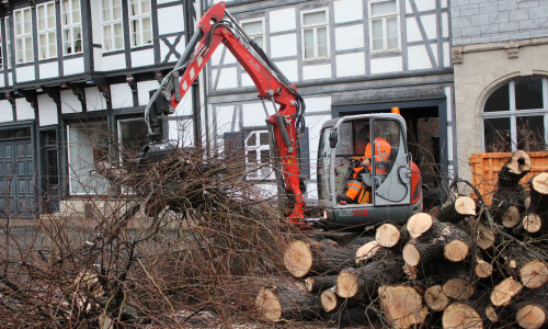 In der Reichsstraße wurden Bäume gefällt. Foto: Max Förster