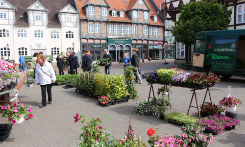 Das Gärtnermuseum ist auch in diesem Jahr auf dem Geranienmarkt vertreten. Foto: Archiv