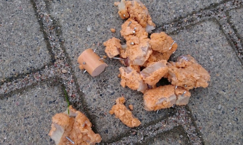 Ähnlicher Fall: Mit Nägeln gespickte Wurst und Fleischstücke fand die Polizei Schöppenstedt im Februar. Foto: Polizei Schöppenstedt