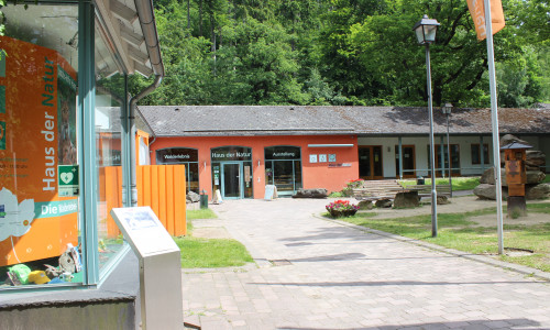 Das Haus der Natur in Bad Harzburg bietet ausführliche Informationen über Luchse. Außerdem werden Ausflüge zur Luchsfütterung angeboten. Foto: Anke Donner 