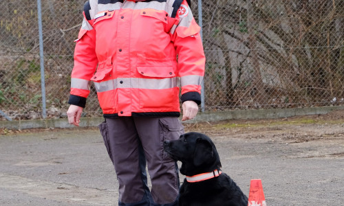 Heidi Heuer und ihre Labradorhündin Lissi bei der Rettungshundeprüfung in Hannover, die die beiden erfolgreich meisterten. Foto: Johanniter/Sylke Heun