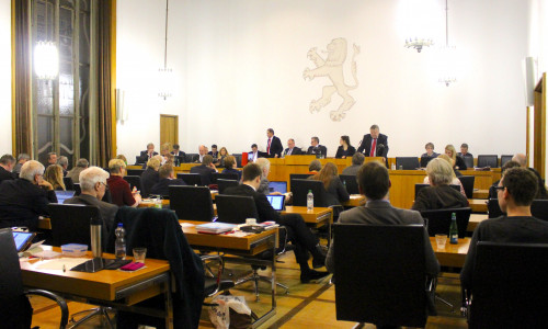 Die Ratsmitglieder debattierten in ihrer Sitzung über die Einwohnerbefragungen. Foto: Nick Wenkel
