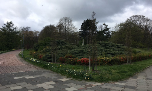 Viewegs Garten ist eine der grünen Oasen im Stadtgebiet. Gibt es bald mehr? Foto: Archiv/Alexander Dontscheff