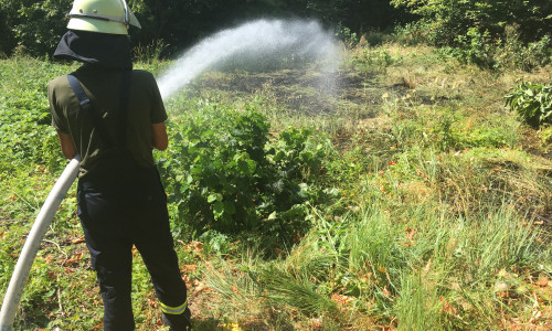 Die Feuerwehr hilft, die Grünanlagen mit Wasser zu versorgen. Symbolfoto: Archiv